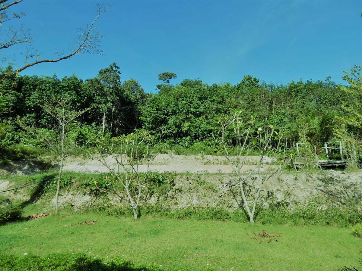 Rubber Tree Resort Ko Lanta Zewnętrze zdjęcie